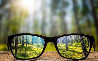 Psalm 8 – Perspektief – Lees die Psalm rustig deur